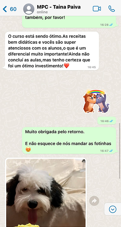depo4patas2
